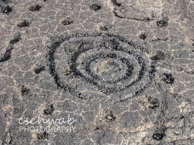 Hawaiian Circles — Claudia Schwab