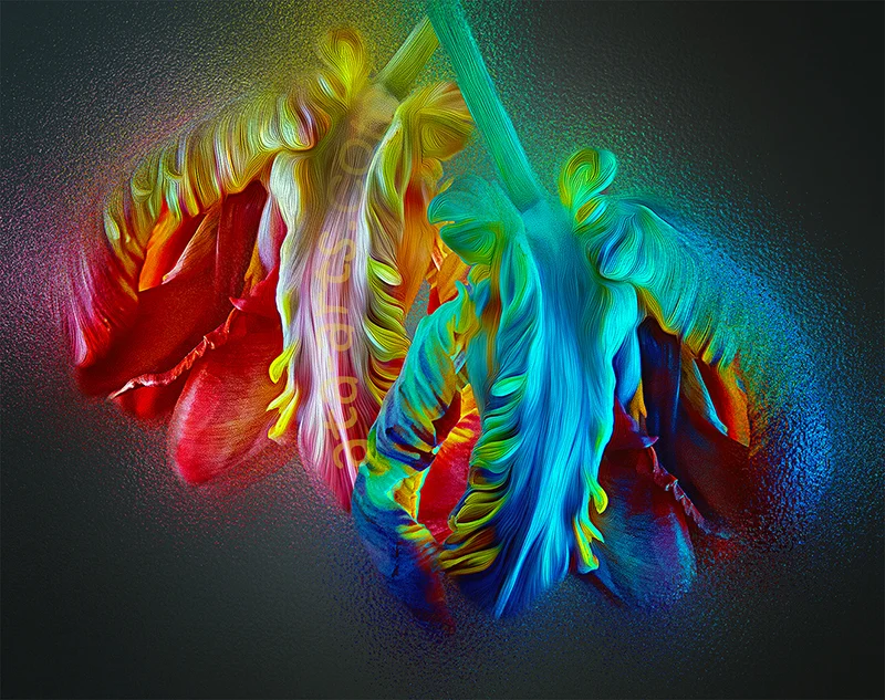 Sisters — Ata Safar