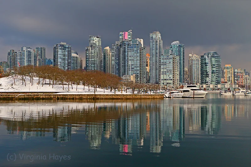 Winter Reflection — Virginia Hayes