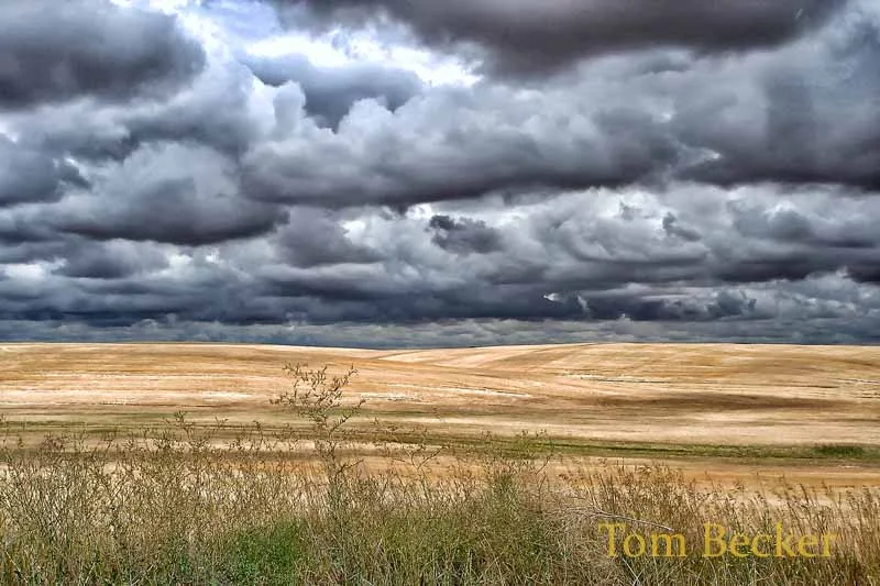 Prairie Skies — Tom Becker