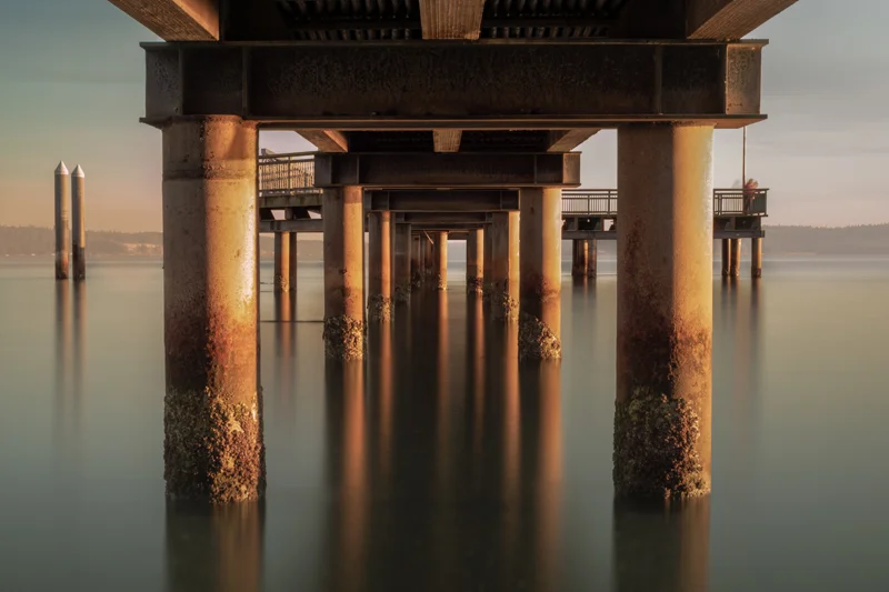 Under the Bridge — Raphael Yoon