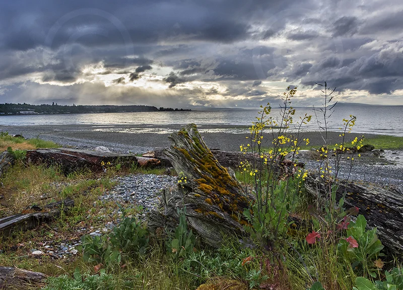Qualicum Beach-Wes Bergen.jpg