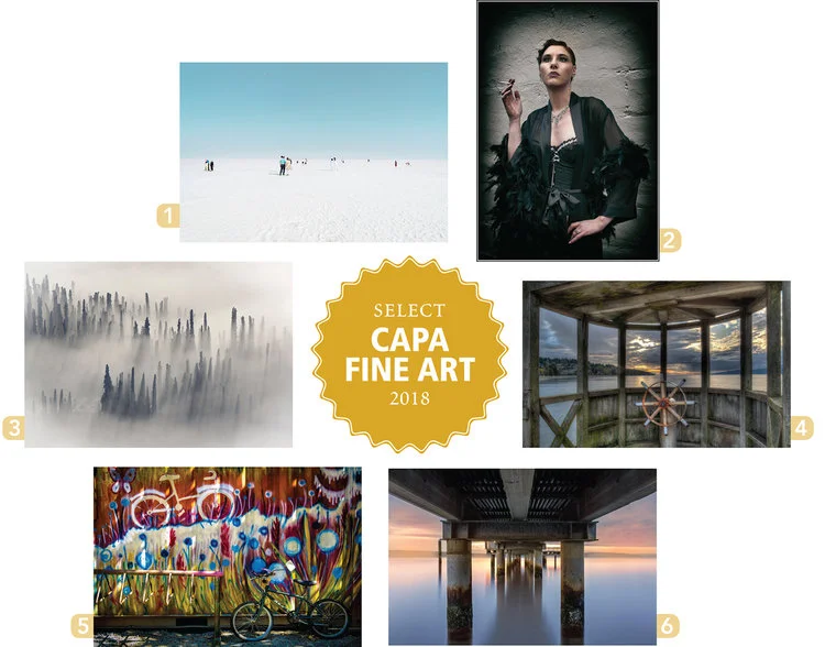 CapaFineArt-images-sm.jpg