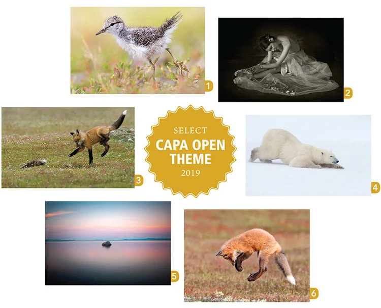 CAPA+Open-Select.jpg