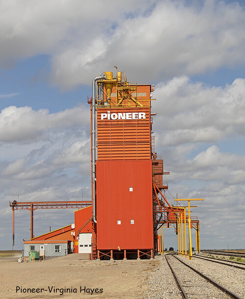 Pioneer — Virginia Hayes — PI Sept2019