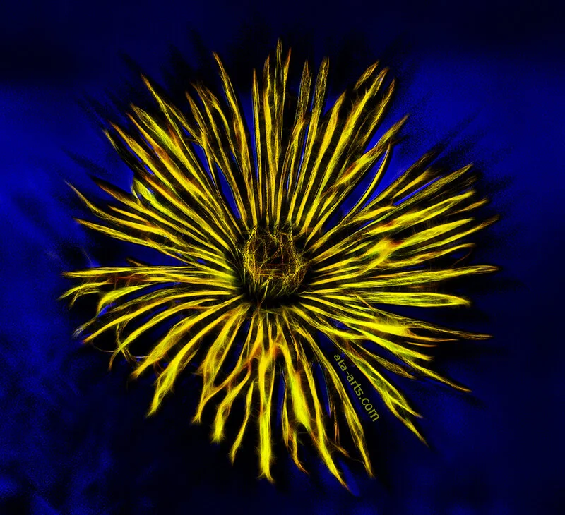 Yellow Blue — Ata Safar — PI Sept2019