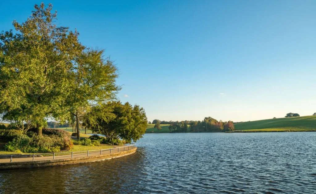 Lake.jpg
