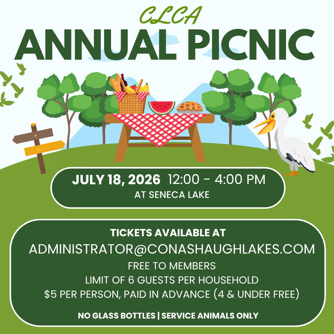 Annual Picnic