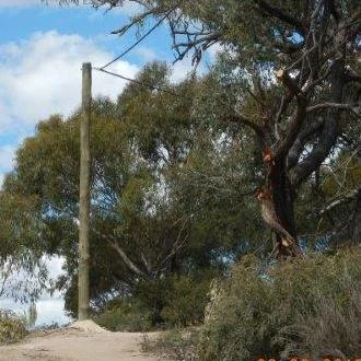 Private LV Rural Power Line, Glanmire