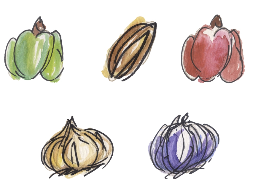 Vegitano Branding
