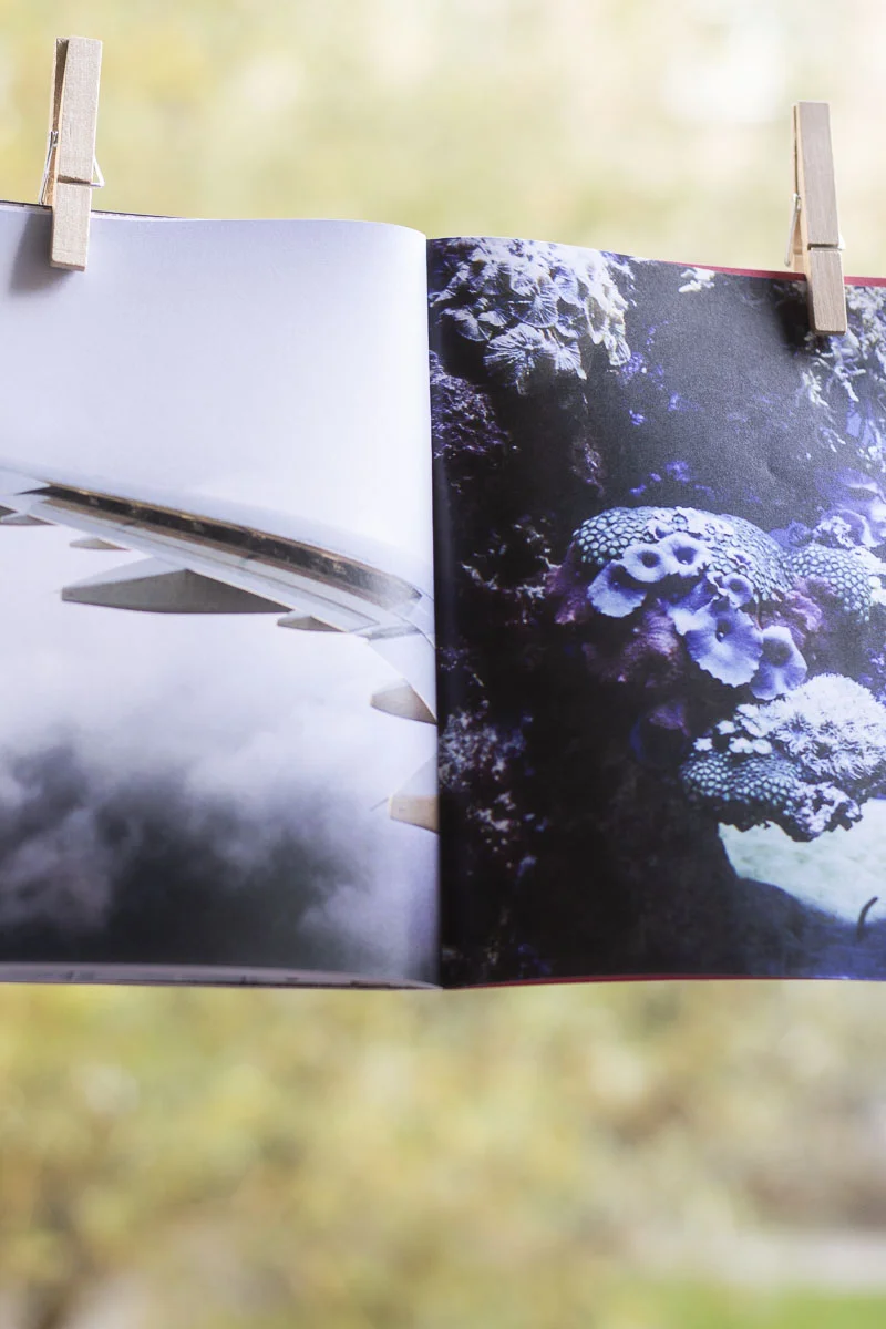 © Stinus Duch / © Sarah Michelle Riisager