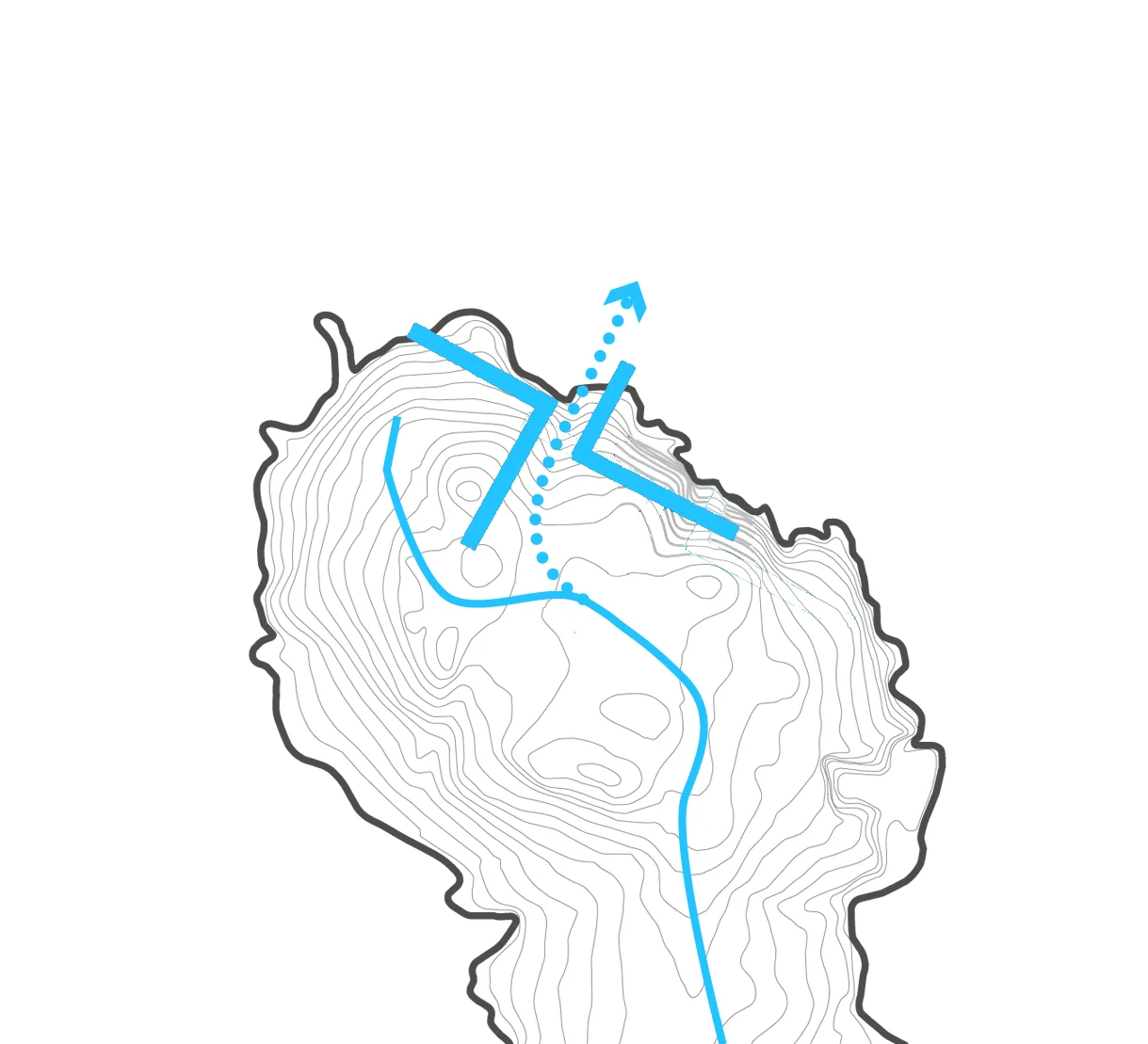 Geography Forms Natural Branching