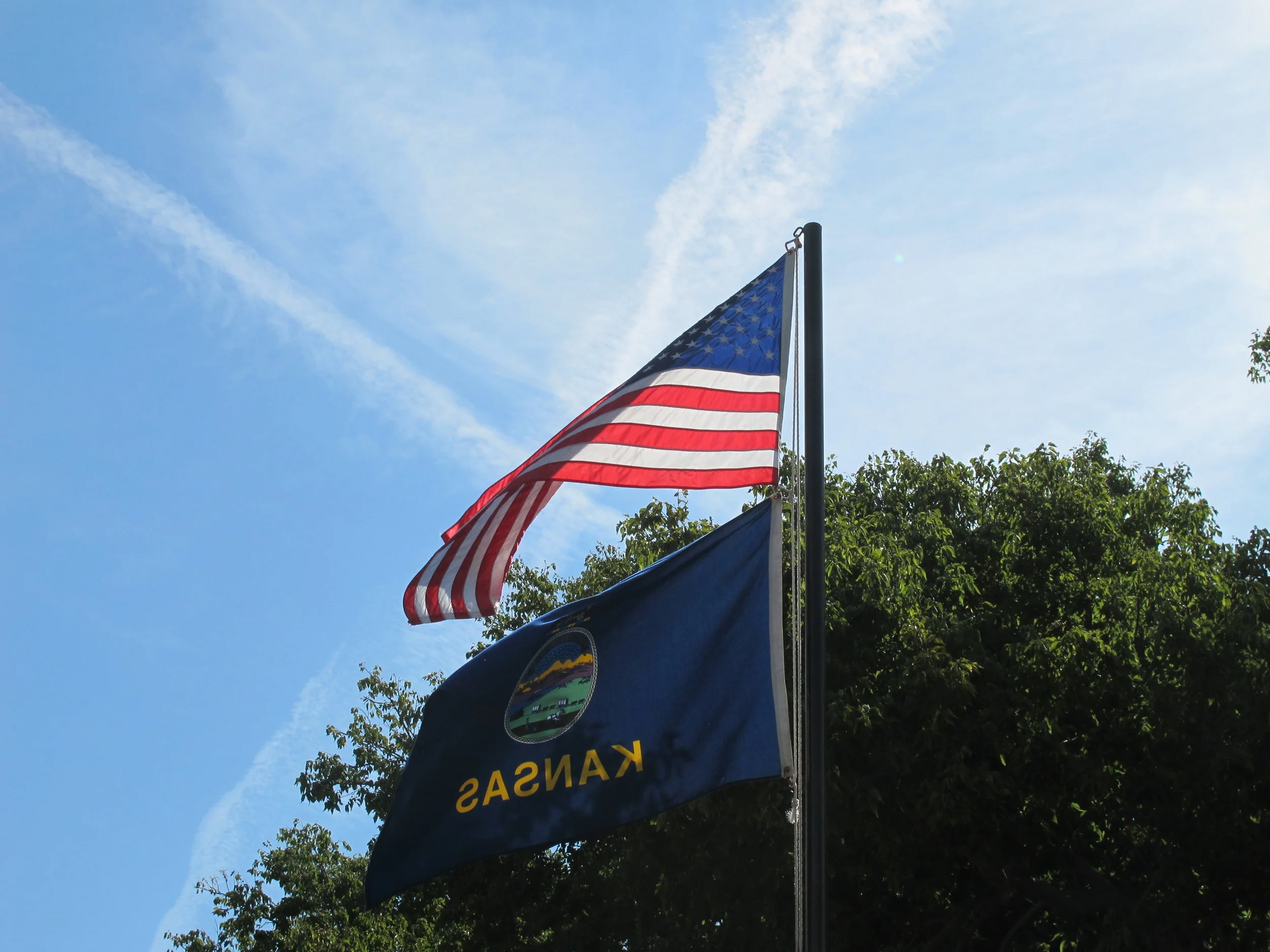 Latest Cabin News