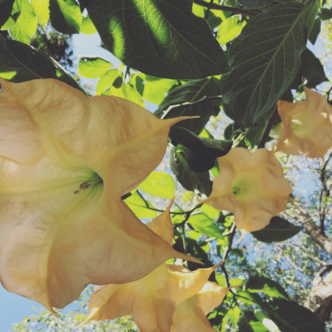 2018-01-15 13.12.22-1.jpg