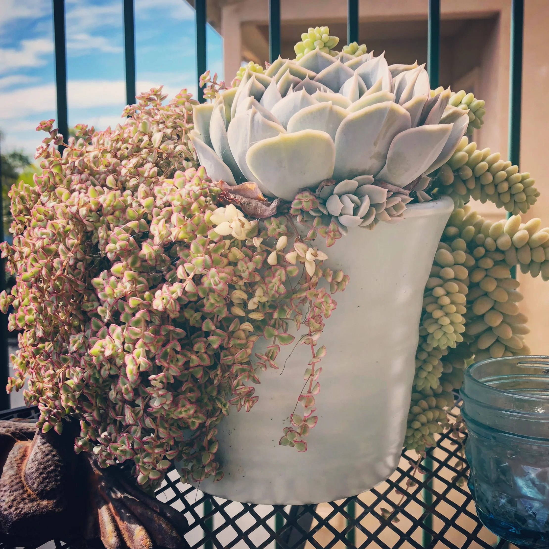 File Feb 17, 4 04 39 PM.jpeg