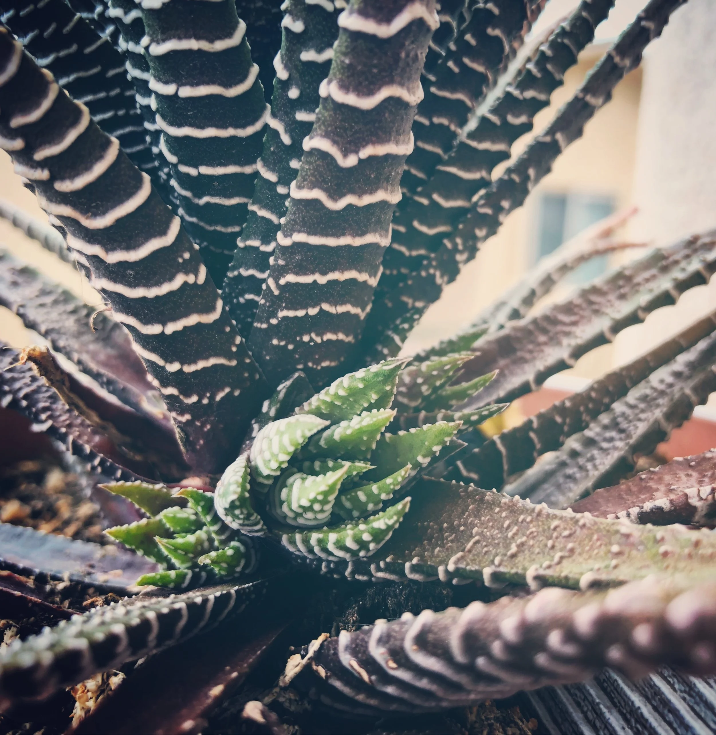 File Mar 03, 4 12 49 PM.jpeg