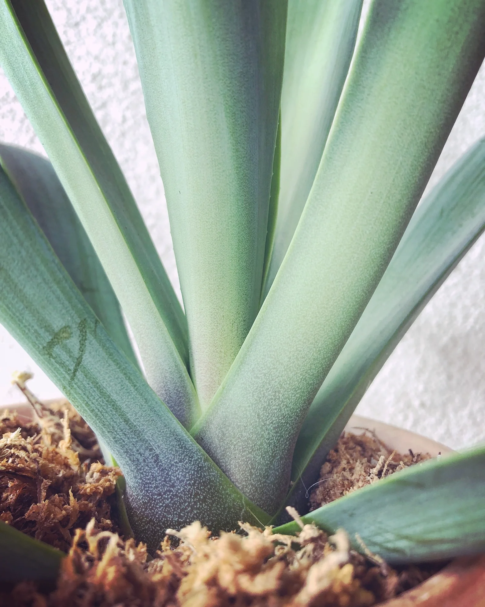 File Mar 03, 4 31 08 PM.jpeg