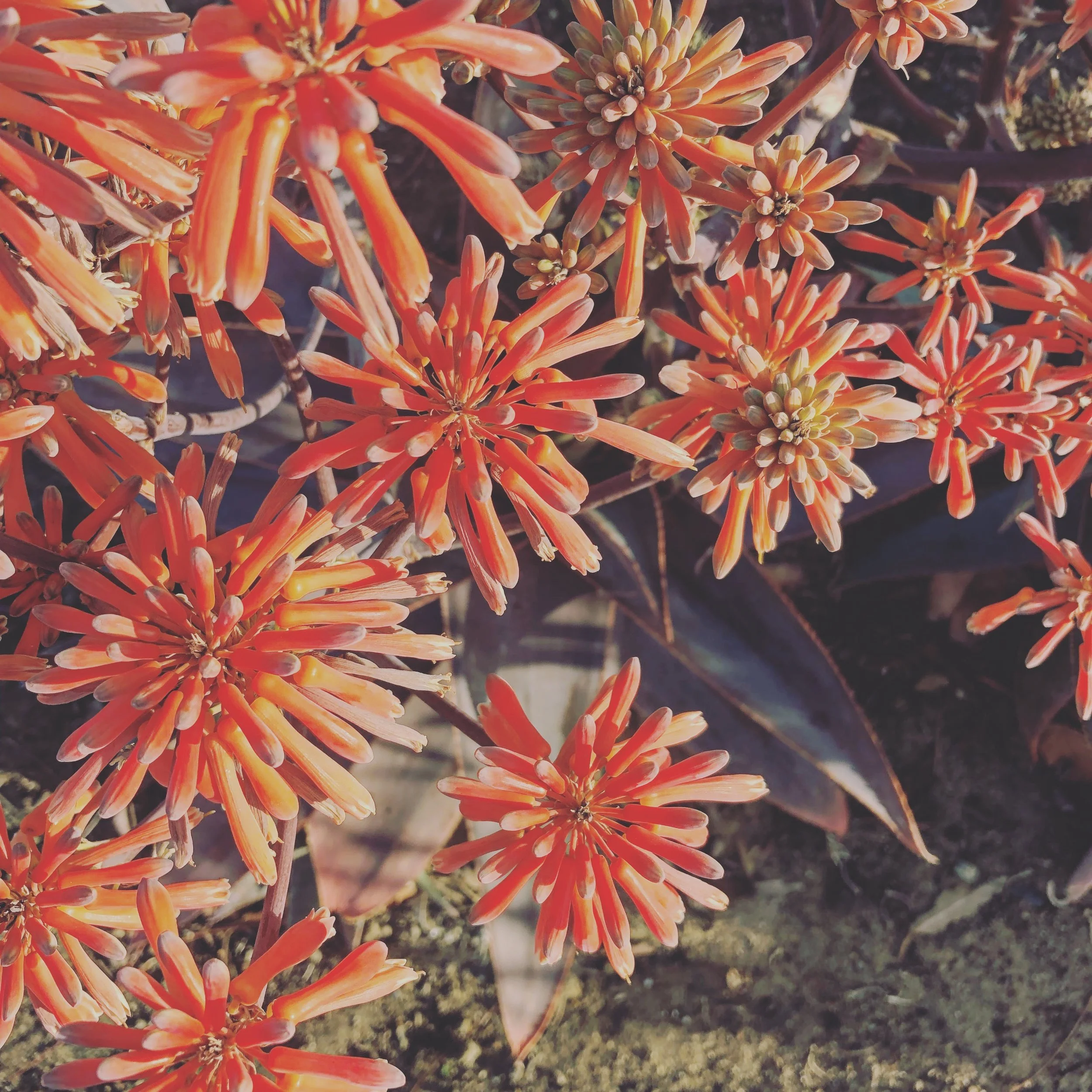 2018-03-09 06.59.55-2.jpg