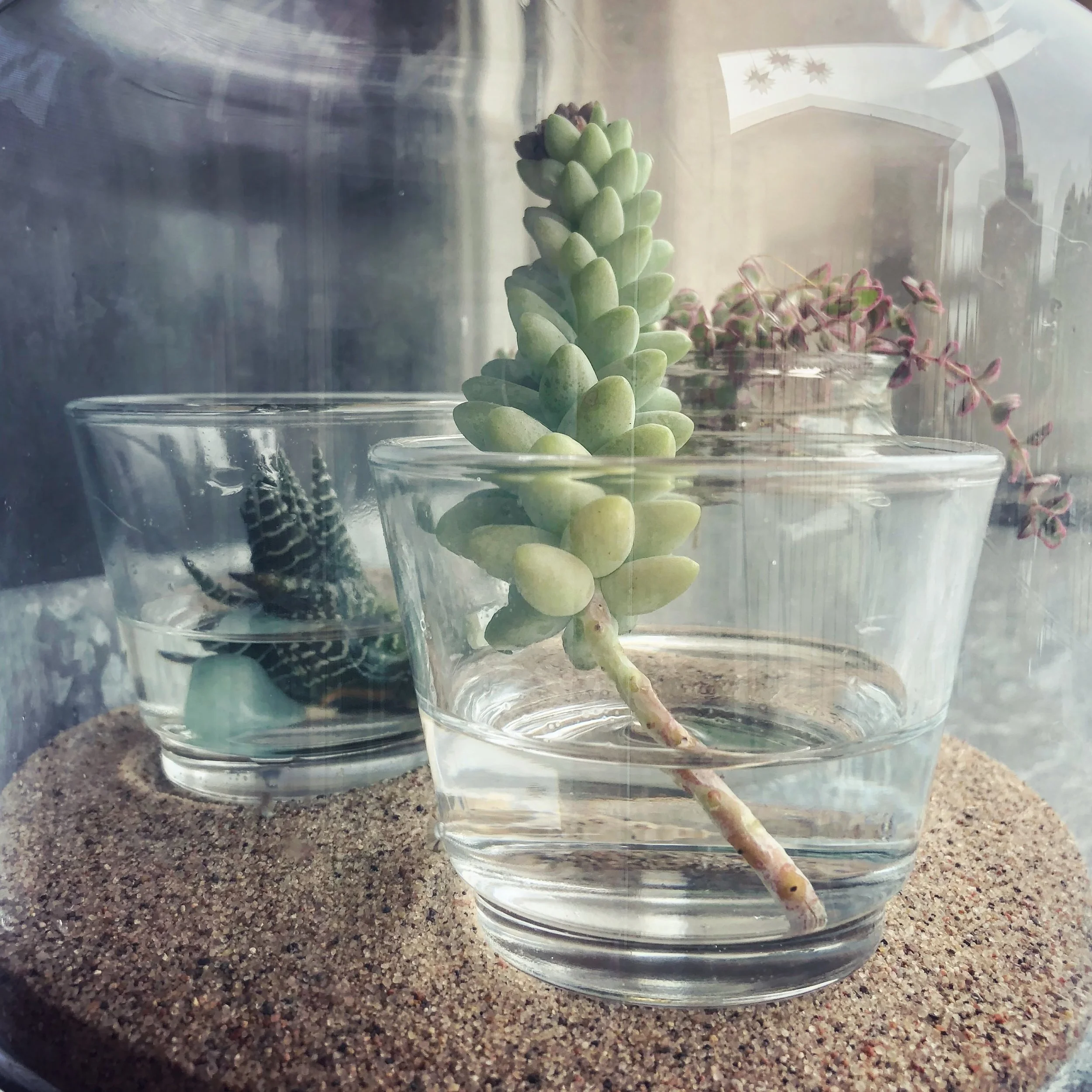 File Mar 11, 11 52 51 AM.jpeg