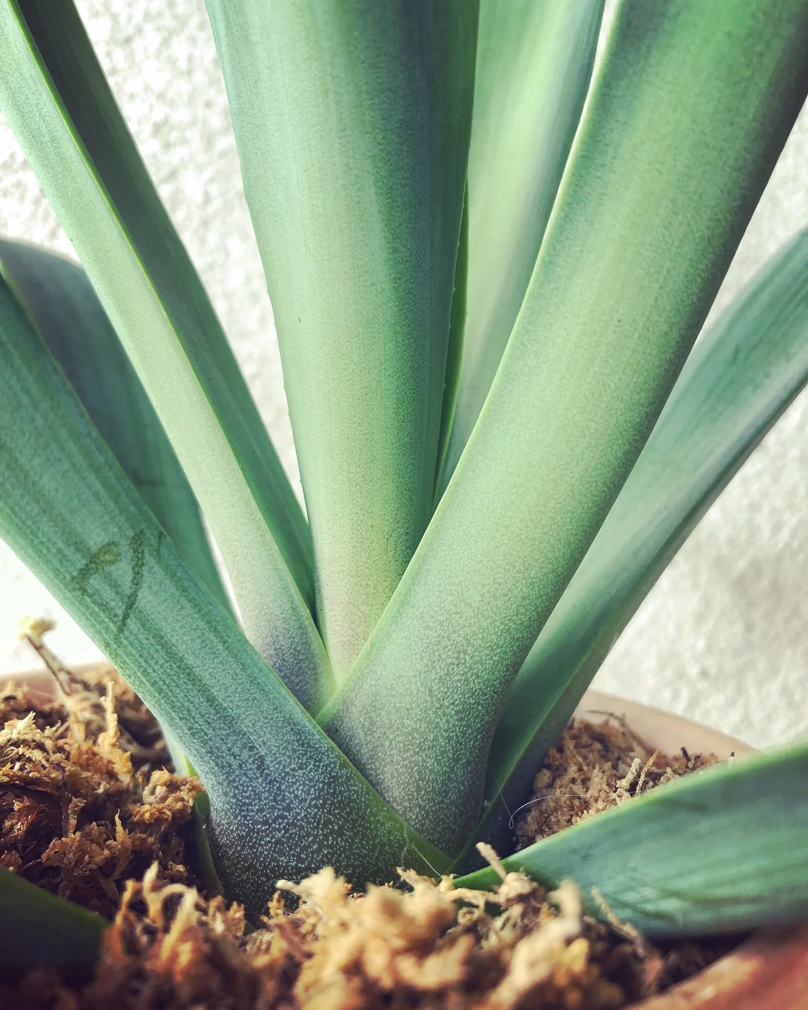 File Mar 03, 4 31 08 PM.jpeg