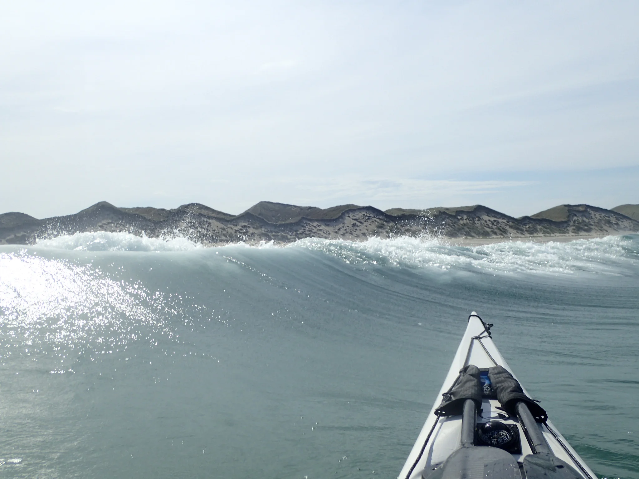 D346419F-0F35-400F-8436-BC02FE566571.jpeg