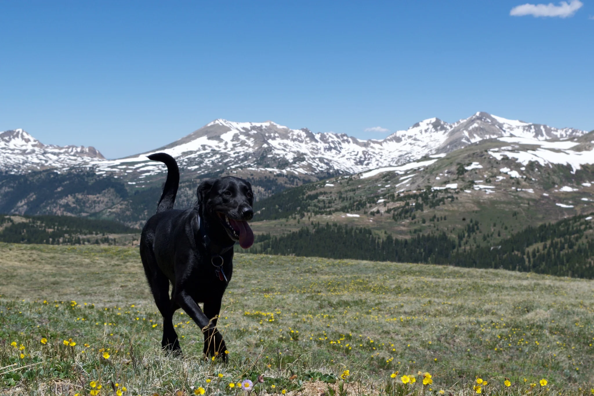 Twin Lakes, Colorado