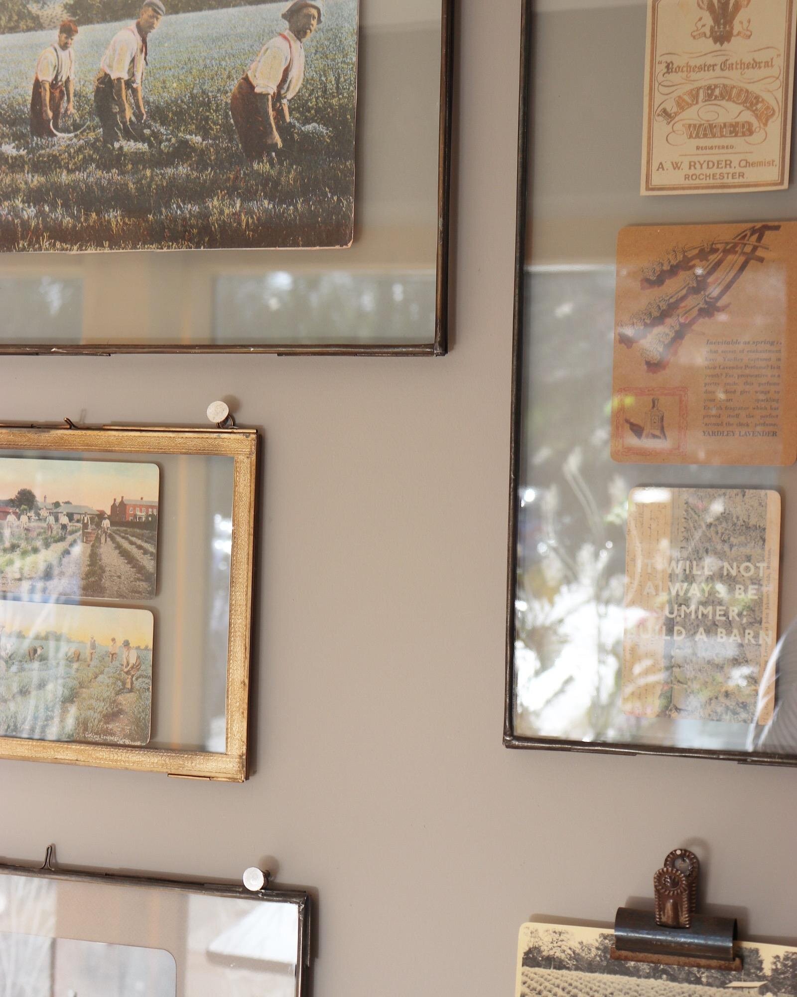 Lavender Alley at Long Barn (Copy)