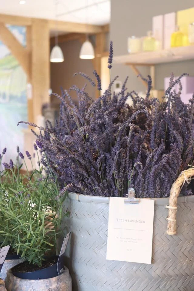 Point of sale at Long Barn, Hampshire (Copy)