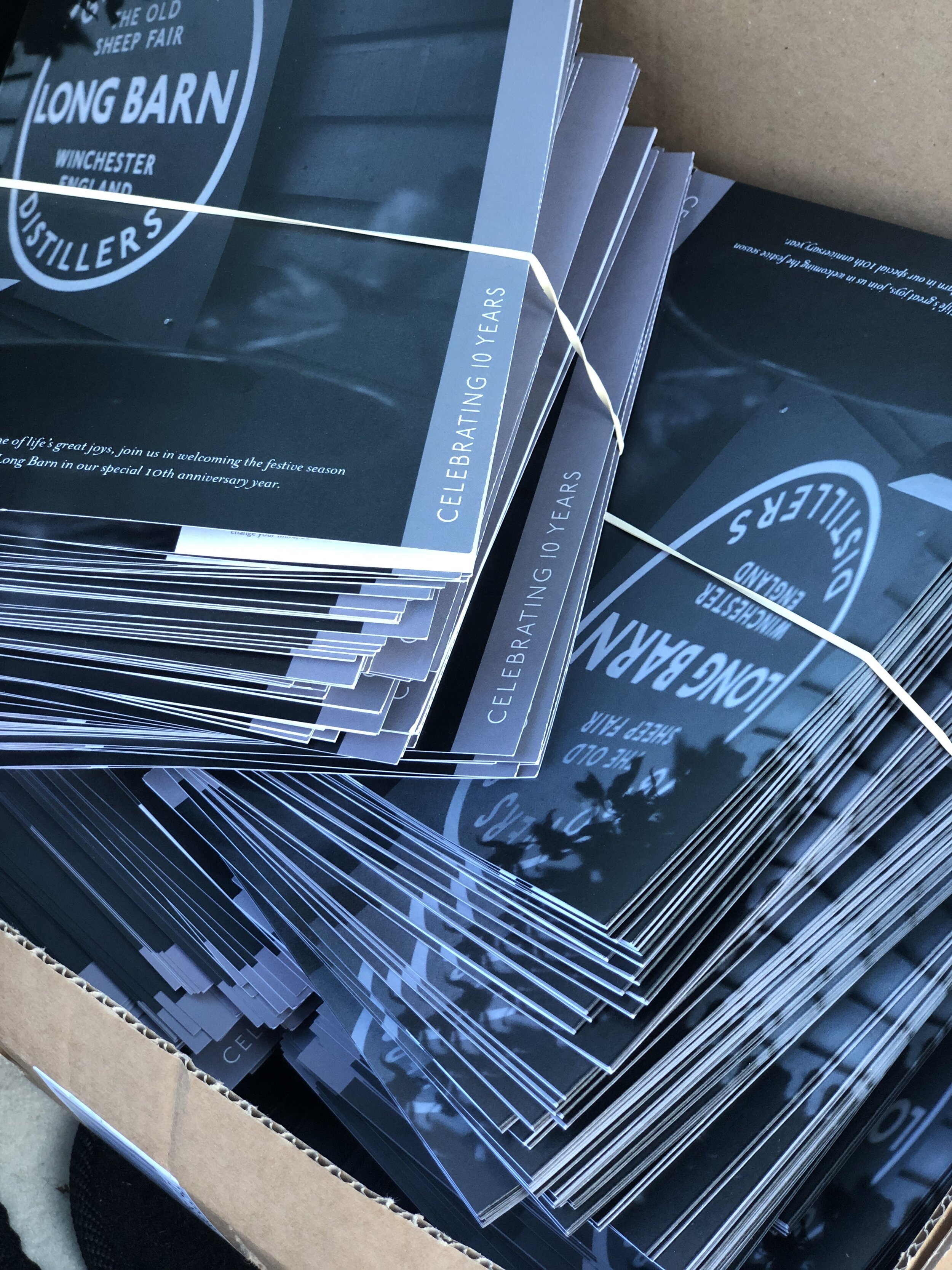 10th Birthday mailer (Copy)