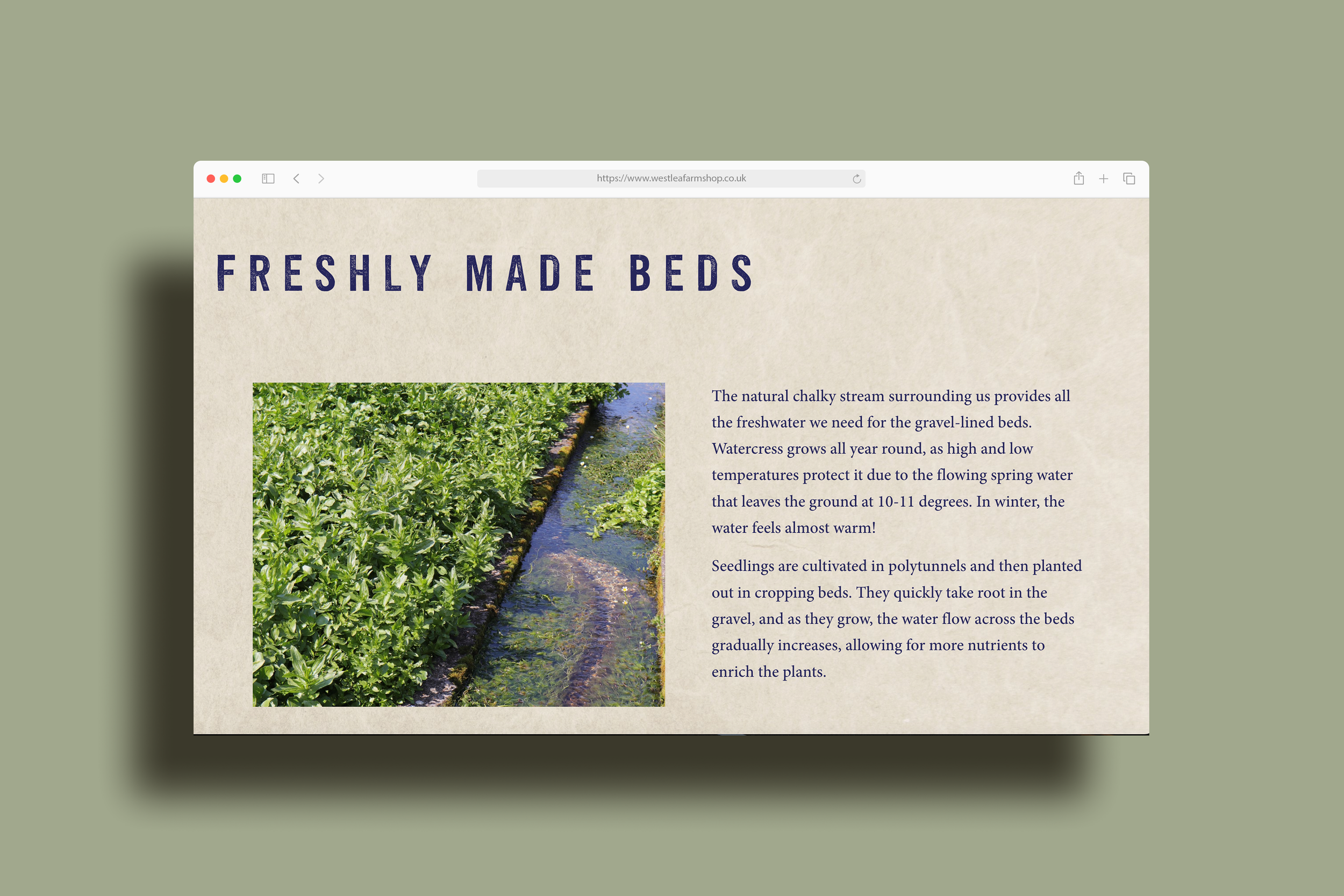 West Lea Farm Shop Beds.png