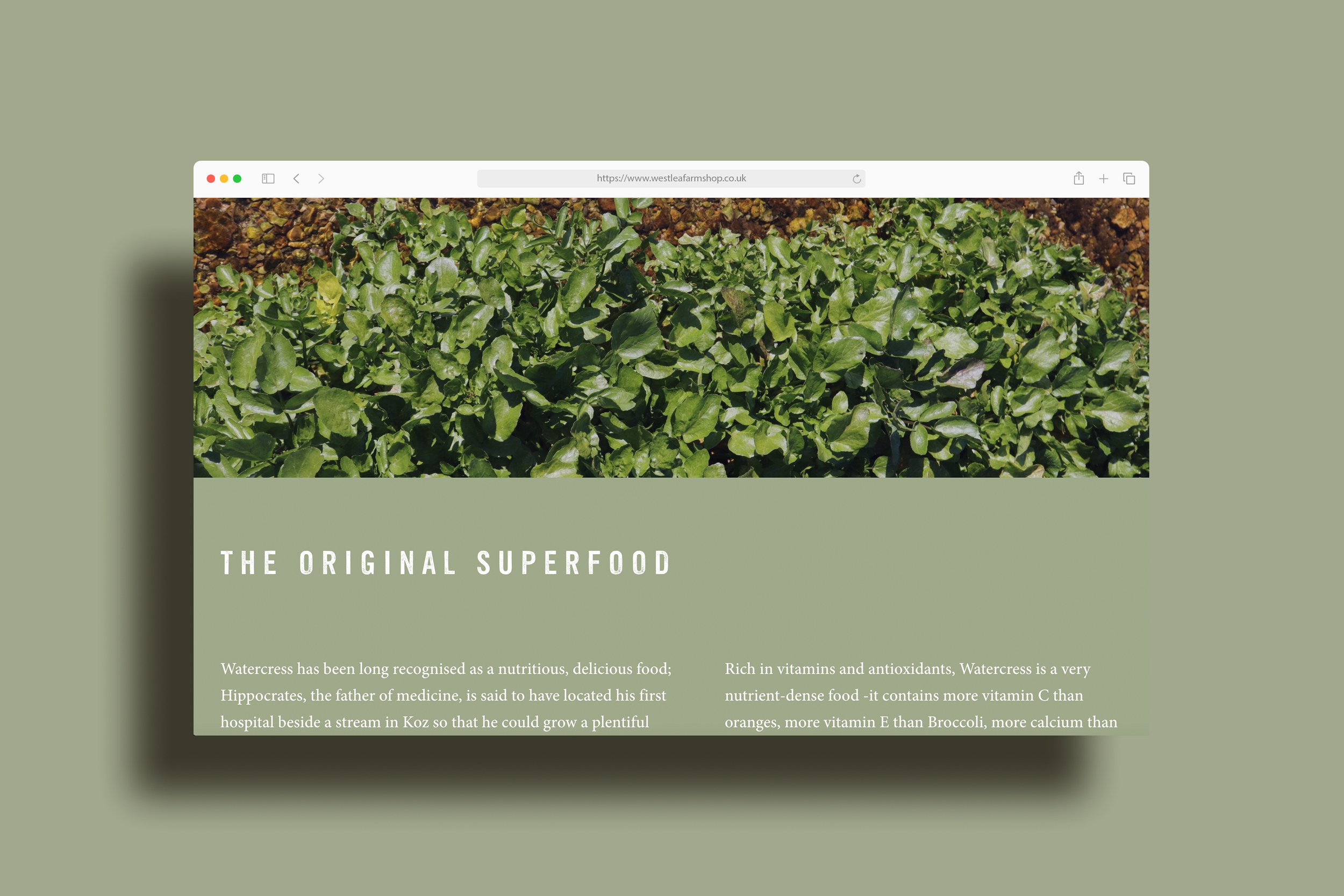 West Lea Farm Watercress.png