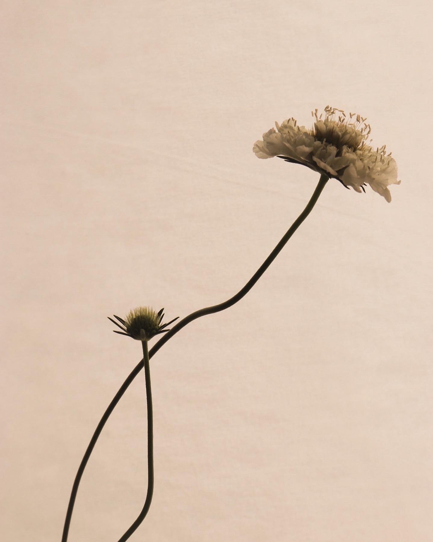 Why authenticity matters