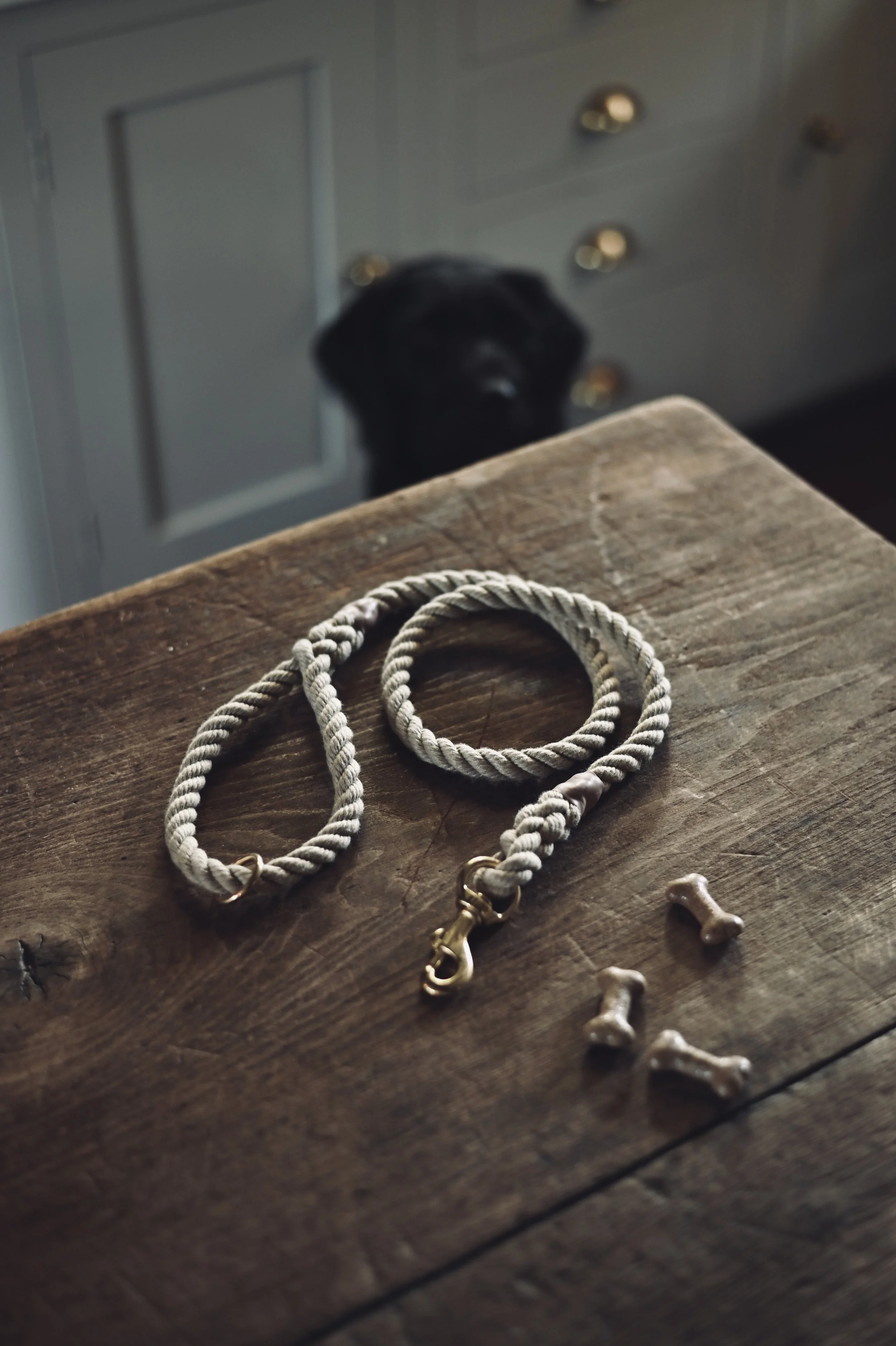 Rope Dog Lead.jpeg