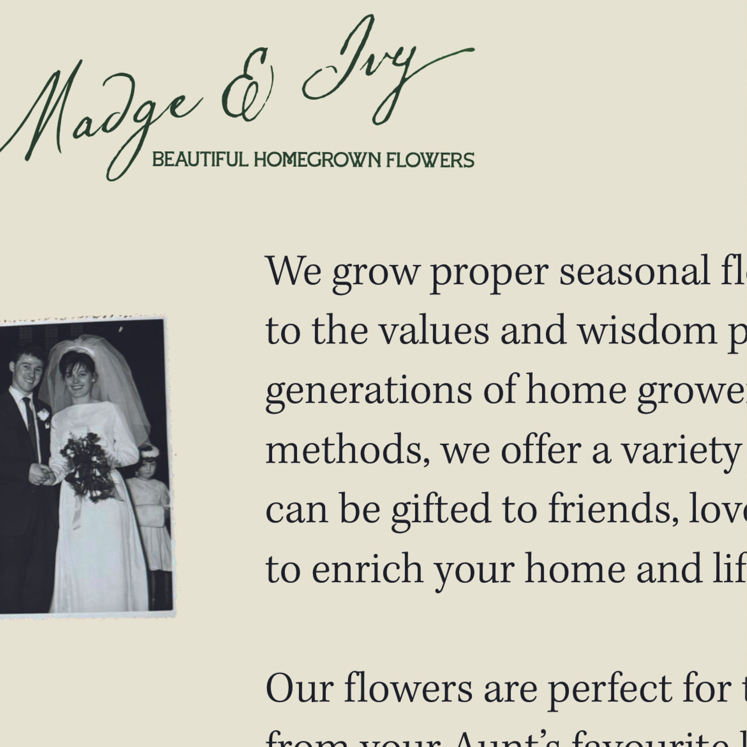 Madge and Ivy Brand Intro8.jpg