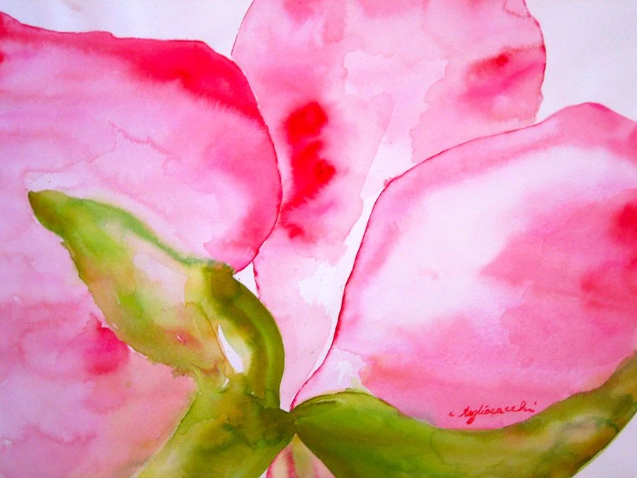 Flower_WaterColor.jpg