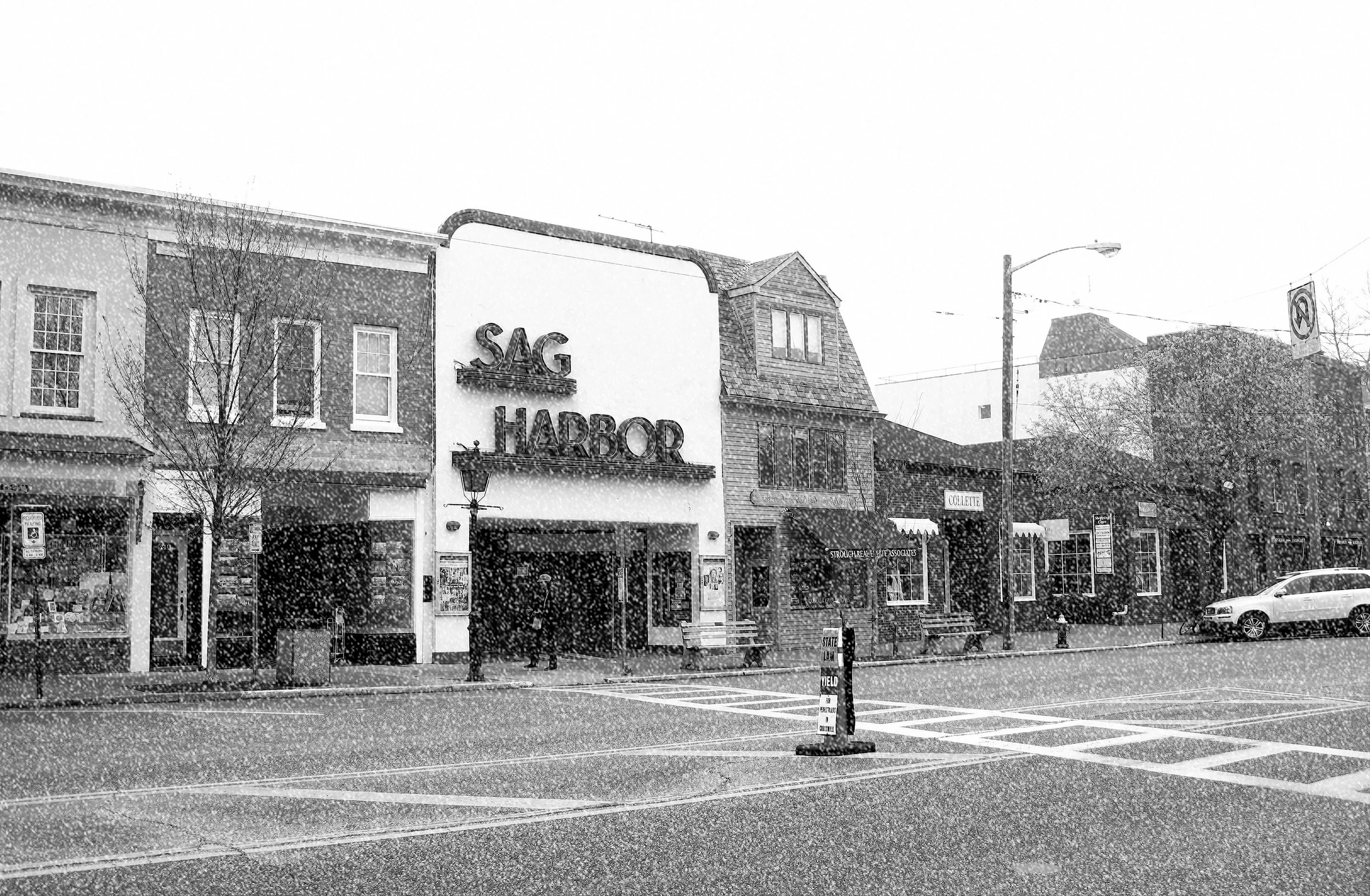 snow falling.jpg