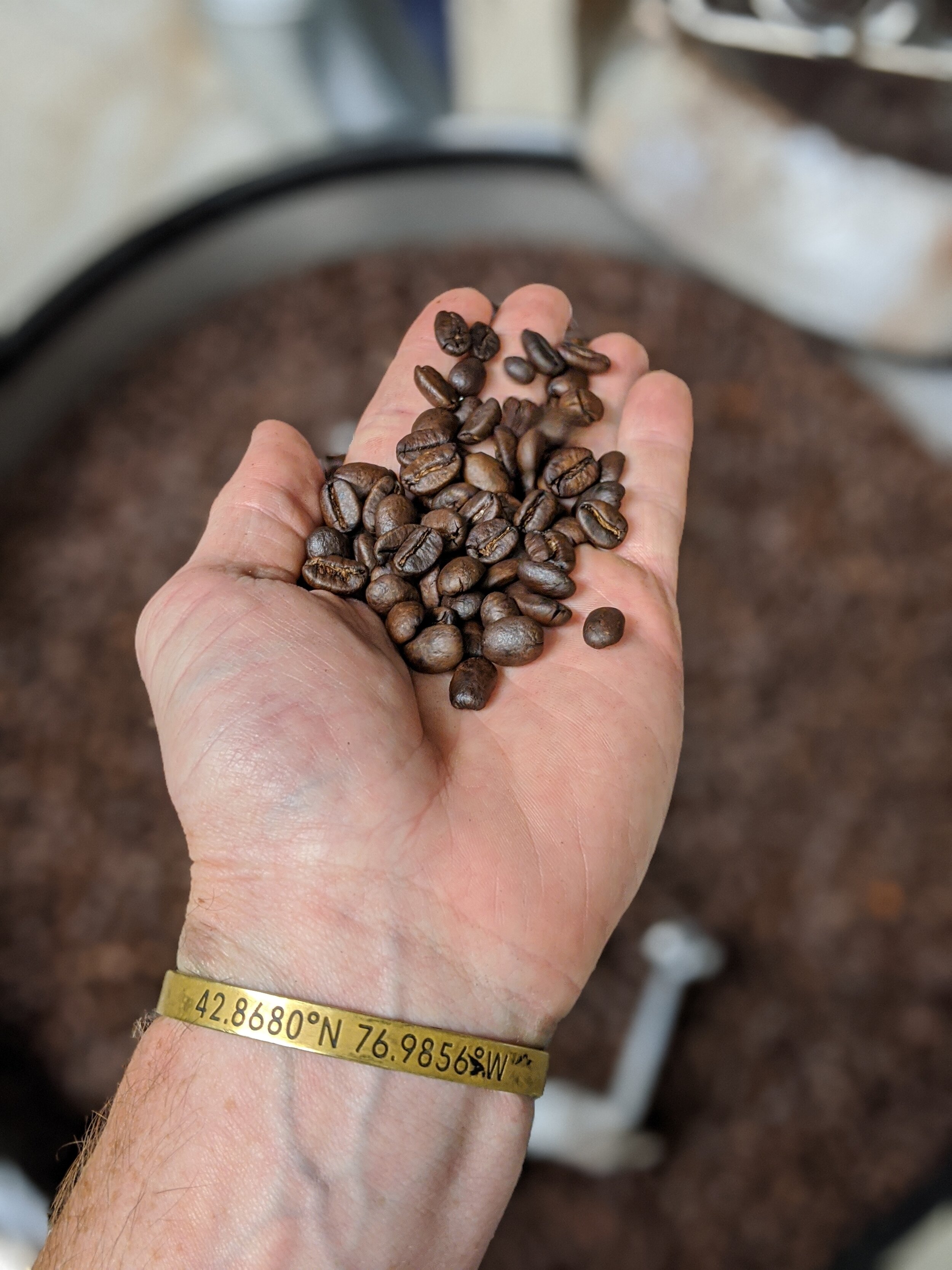 Specialty Roast Coffee Beans