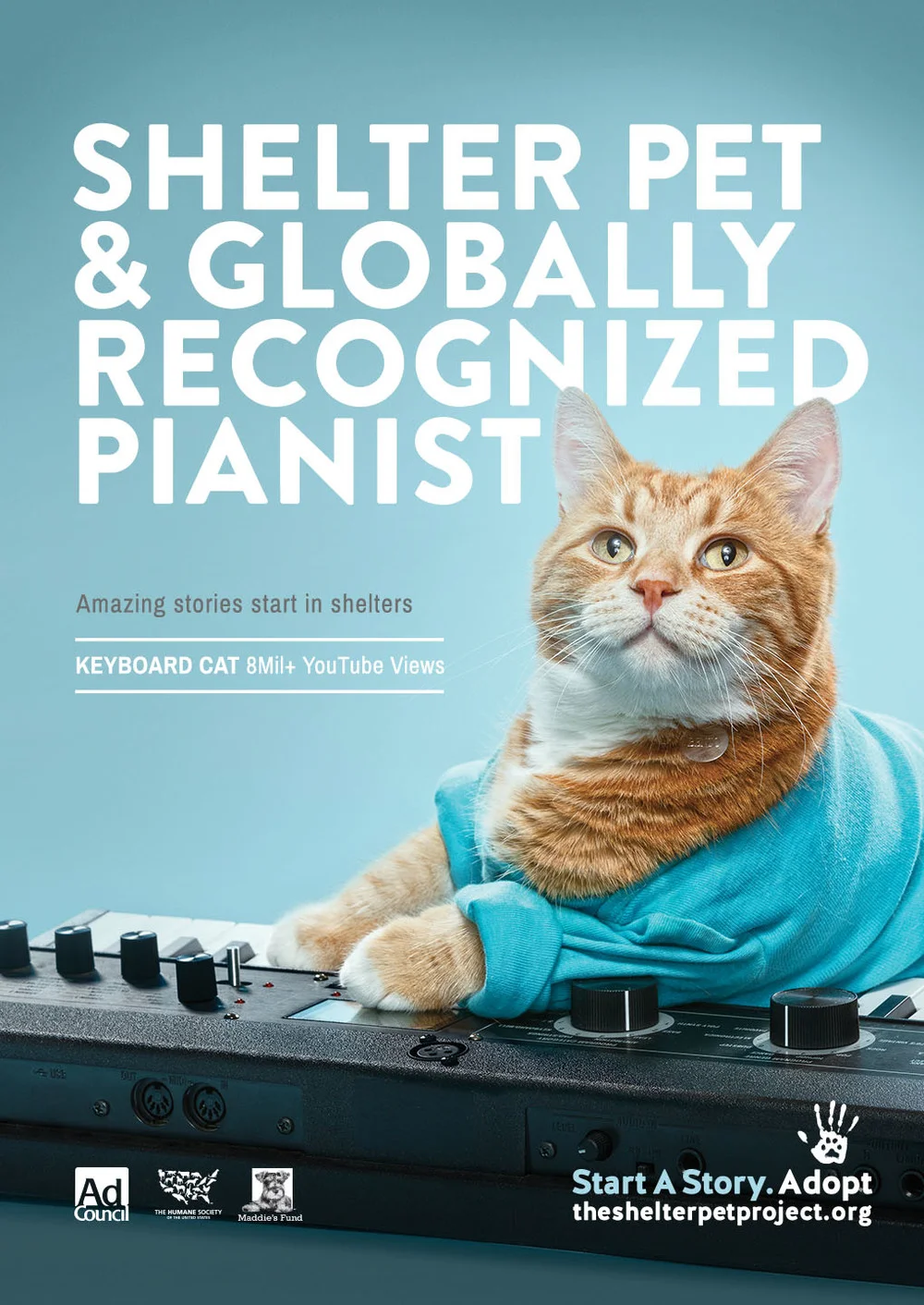 Pet Shelter Project Print Ad 