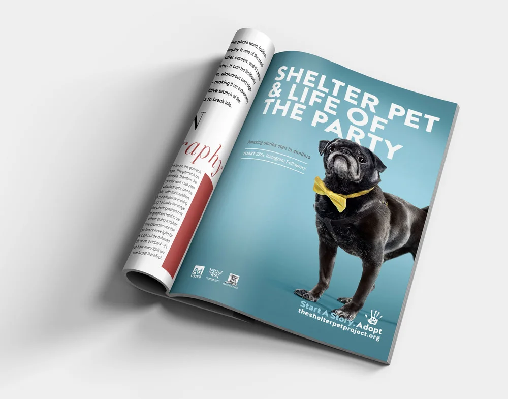 HAMILTON_MAGAZINE.jpg