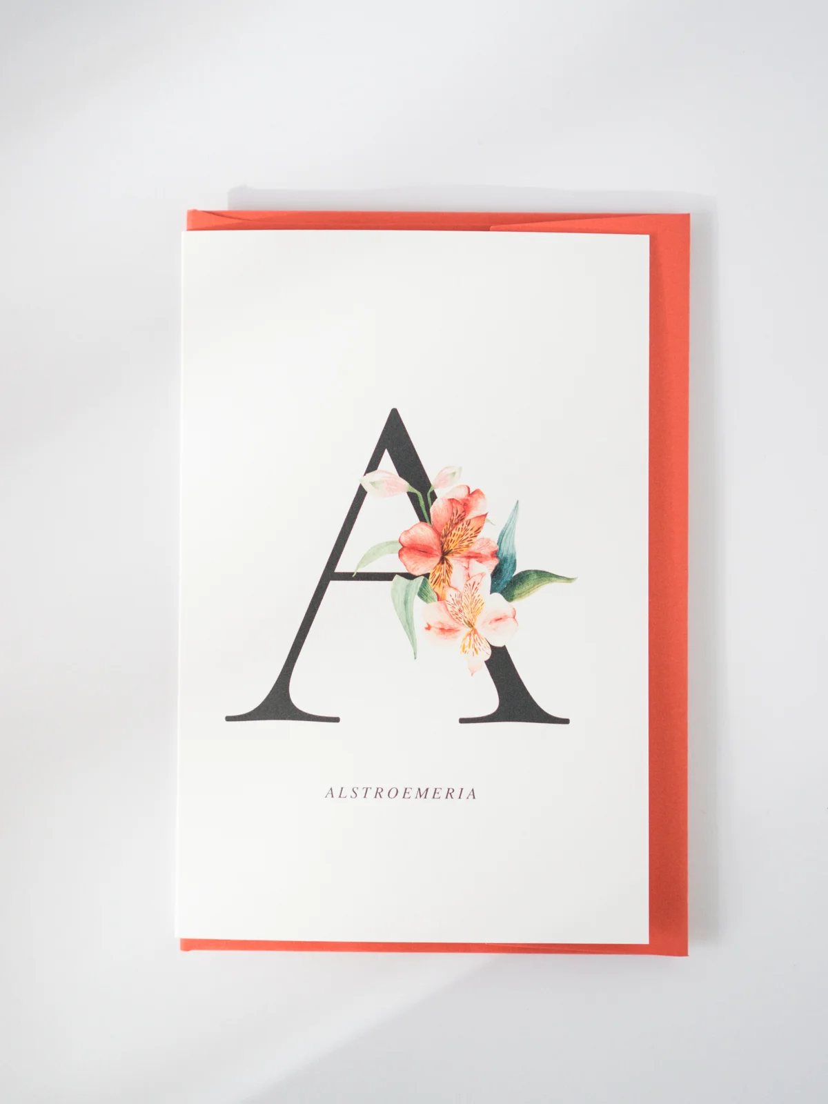 Botanical_Watercolour_Alphabet_-2.jpg