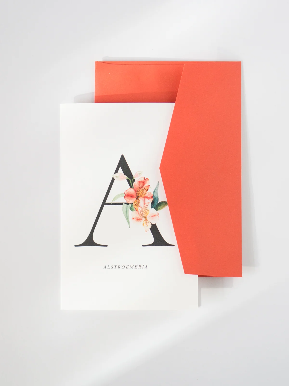 Botanical_Watercolour_Alphabet_-3.jpg