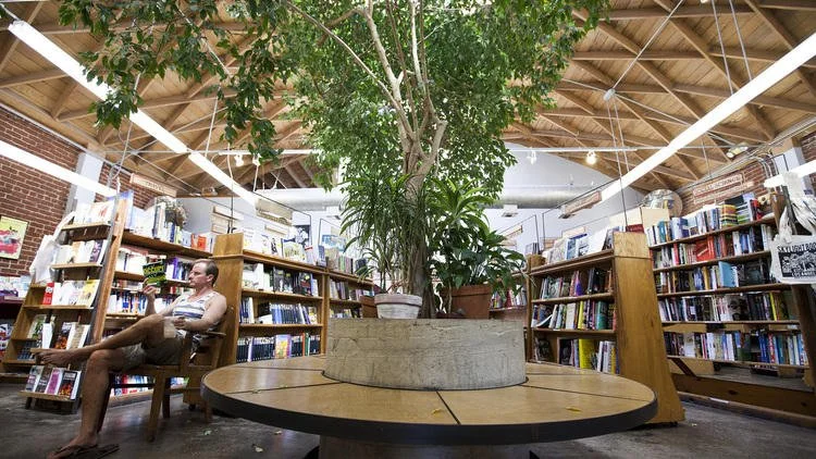 Kirsten King at Skylight Books