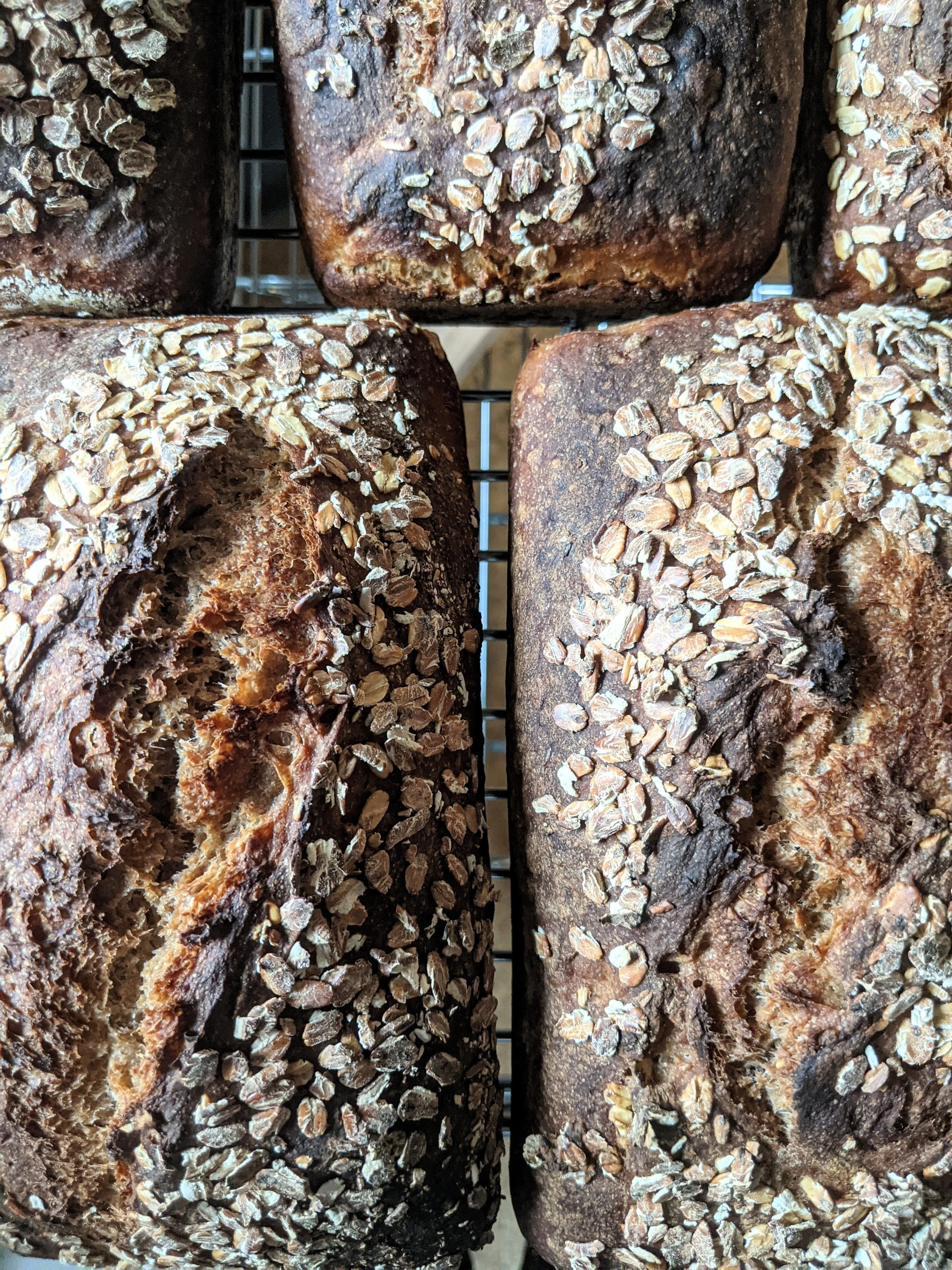 Oat & Honey Bread
