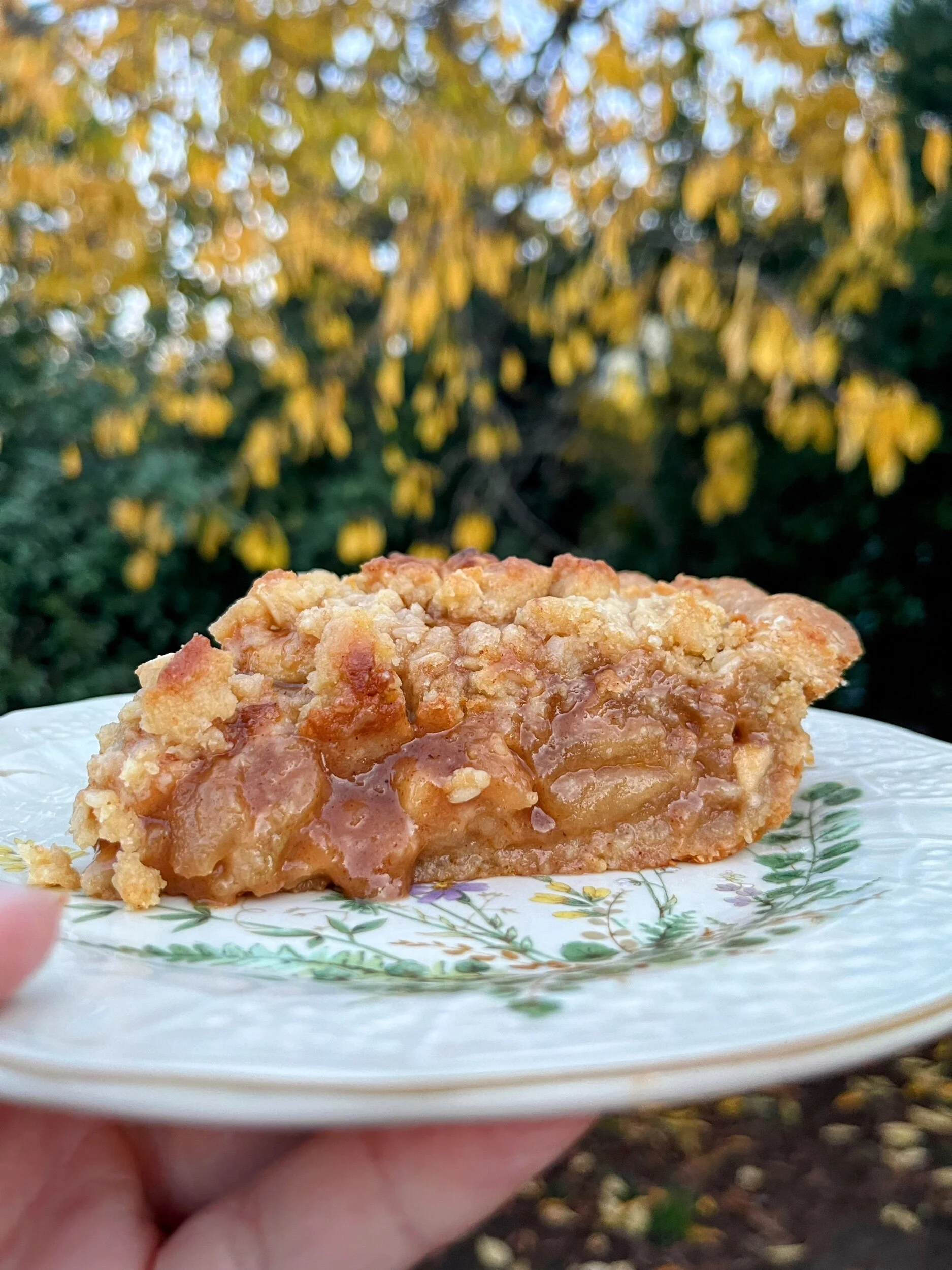 E48ABEAB-41BD-409C-93B6-E3BE268A24E9