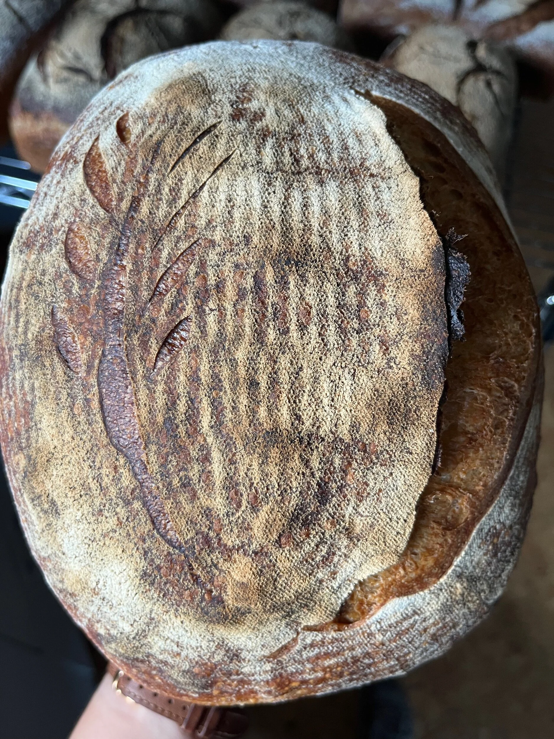 695D9A74-63C5-4373-ADB7-0066B8123280