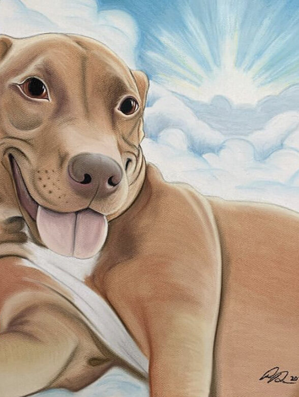 157 - Pitbull.jpeg