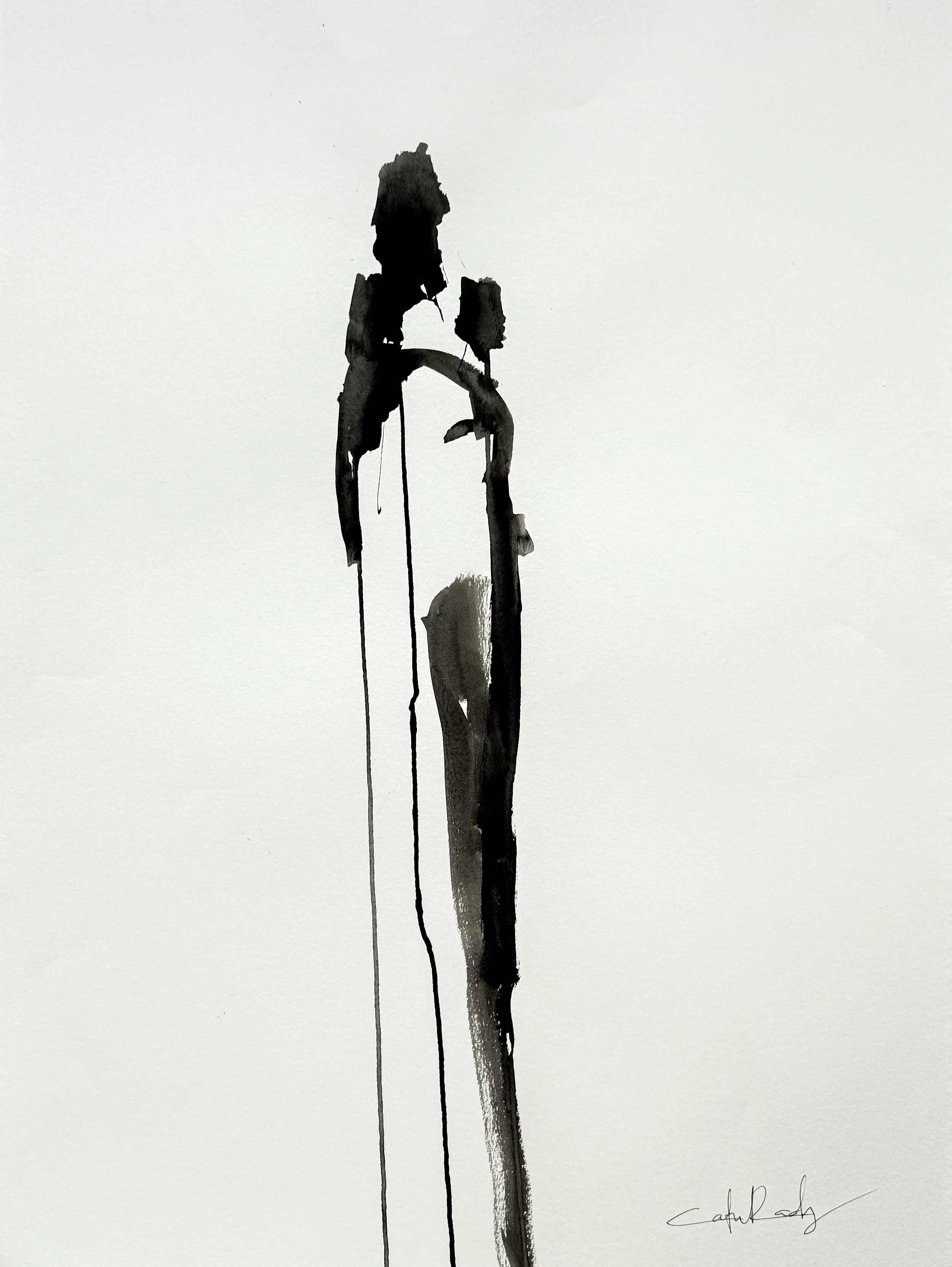 CATIE PAPER DROP NOV 2025-34.jpg