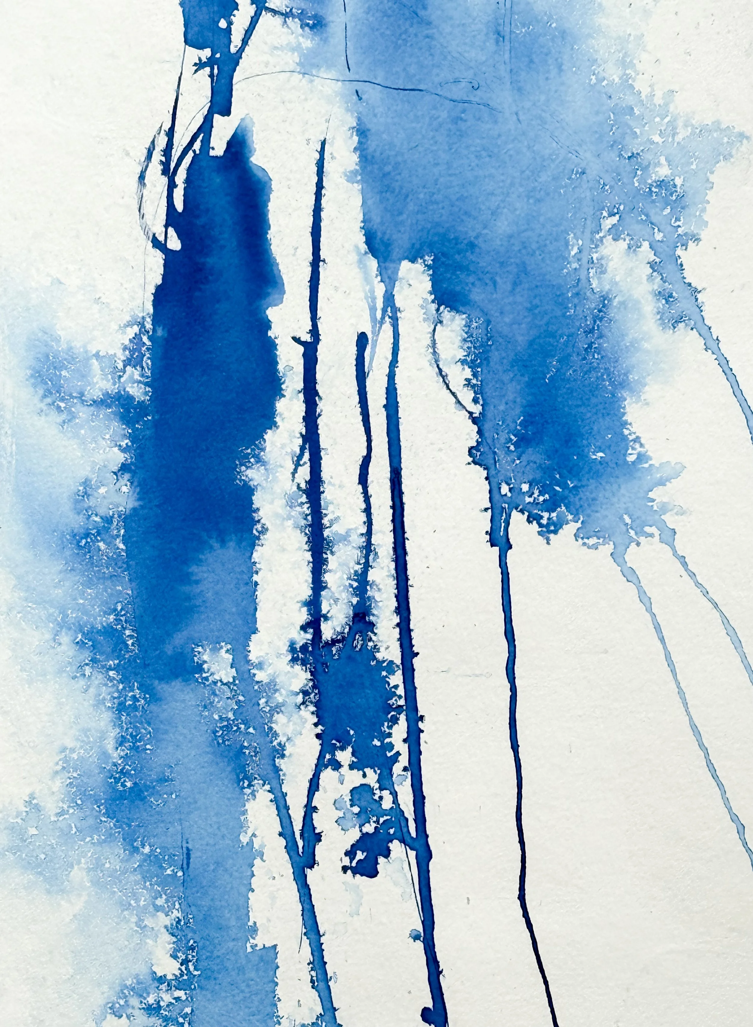 CATIE PAPER DROP NOV 2025-68.jpg