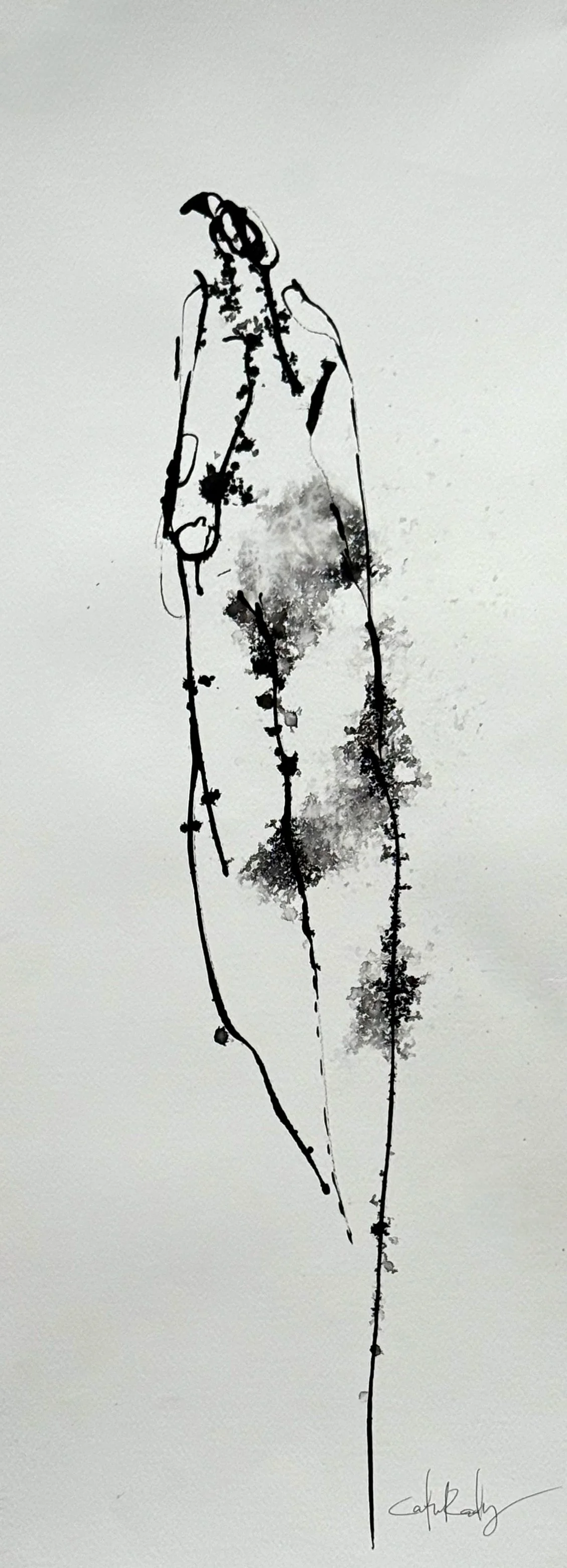 CATIE PAPER DROP NOV 2025-5.jpg