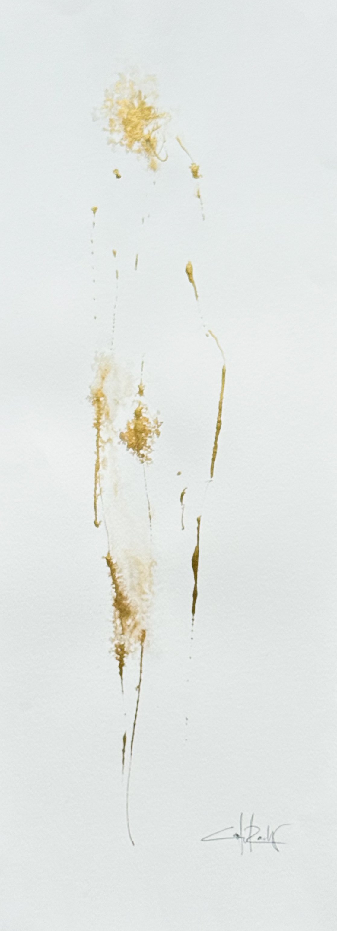 CATIE PAPER DROP NOV 2025-6.jpg